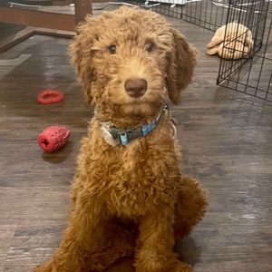 Meet your Posher, Keila